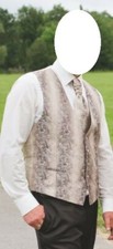 Hochzeitsweste plastron einste gebraucht kaufen  Fuchsstadt