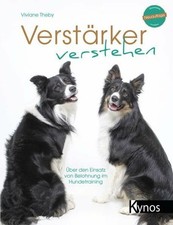 Verstärker verstehen den gebraucht kaufen  Stuttgart