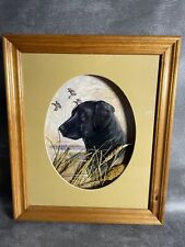 Black labrador retriever for sale  GAINSBOROUGH