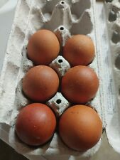 French black copper for sale  Harmony