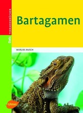 Bartagamen gebraucht kaufen  Berlin