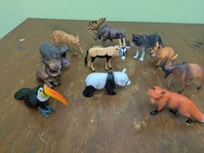 Wild animals birds for sale  Barnesville