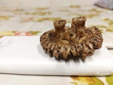 Kijang deer amulet d'occasion  Expédié en Belgium