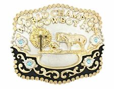 Champion cowboy praying for sale  Greenville