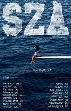 Sza concert ticket for sale  Ireland