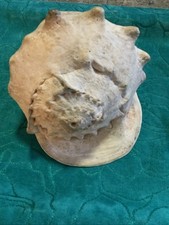 Rare vintage large for sale  Kailua