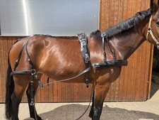 Kellinghusen fahrgeschirr eins gebraucht kaufen  Aachen