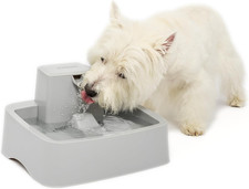 Drinkwell fontana acqua usato  Roma