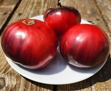 Tomate Mar Azul, 15+sementes, FRETE COMBINADO comprar usado  Enviando para Brazil