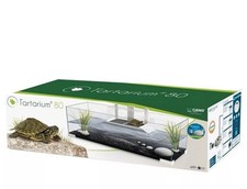 Large turtle terrapin for sale  LONDON