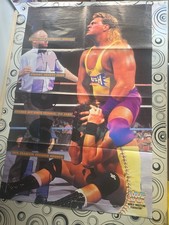 Wwf wrestling poster gebraucht kaufen  Weinsberg
