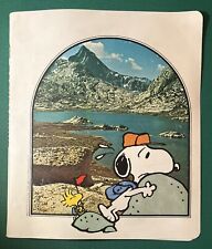 Vintage peanuts snoopy for sale  Fairfield
