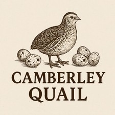 Quail business available. for sale  CAMBERLEY
