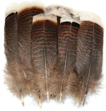Luorng natural turkey for sale  Denver