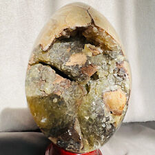 Natural dragon septarian for sale  Ontario