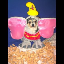 Disney dumbo pet for sale  Gretna