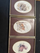 John evans watercolour for sale  SOUTHAMPTON