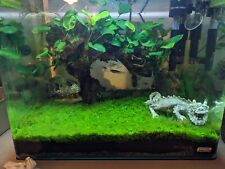 Acquario completo dennerle usato  Pontecagnano Faiano