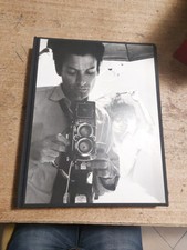 Richard avedon performance usato  Villadose