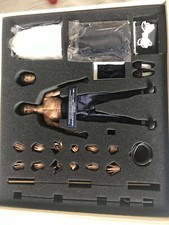 Hot toys bruce for sale  CHELTENHAM