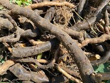 Organic comfrey root d'occasion  Expédié en Belgium