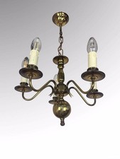 Two small flemish for sale  SHREWSBURY