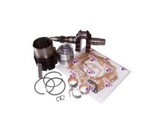 Kit revisione motore usato  Ficarolo
