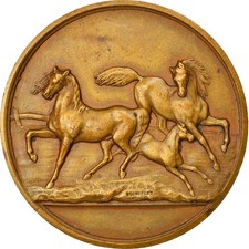Médaille agriculture concours d'occasion  Lille-
