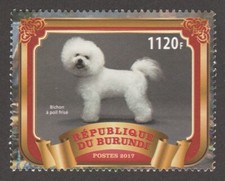 Bichon frise int d'occasion  Expédié en Belgium