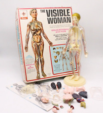 Visible women anatomie gebraucht kaufen  Schrobenhausen