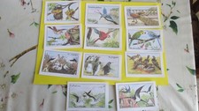 Oiseaux lot images d'occasion  Calonne-Ricouart