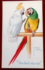 Cockatoo macaw parrots for sale  DUMFRIES