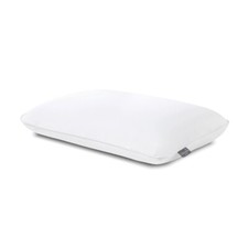 Cocoon sealy molded for sale  Bordentown
