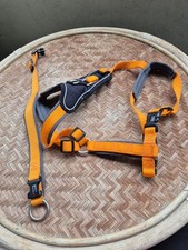 Hundegeschirr set gebraucht kaufen  München
