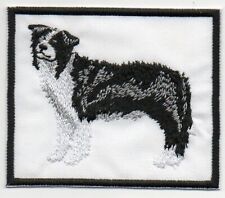 Patch ricamo toppa usato  Pescara