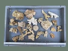 Dekogestein meerwasseraquarium gebraucht kaufen  Wallenhorst