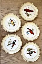 Vista allegre bird for sale  Saco