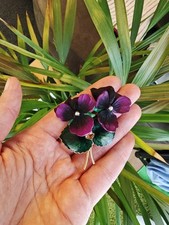 Brosche veilchen kunststoff gebraucht kaufen  Gießen