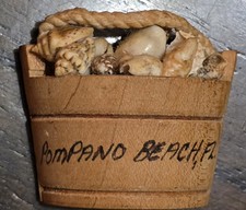 Basket full shell for sale  Holiday