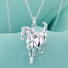 Collier argent 925 d'occasion  Bordeaux-