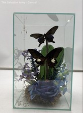 Multicolor beautiful taxidermy for sale  Detroit