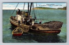 Washington purse seining for sale  USA