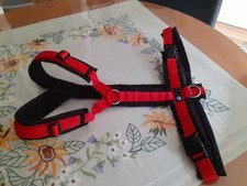hundegeschirr rot gebraucht kaufen hundegeschirr rot gebraucht kaufen  Werdohl
