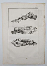 Pieds anatomie ostéologie d'occasion  Paris IX