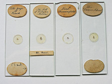 Antique microphoto microscope for sale  BOREHAMWOOD