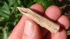 Super rare bone for sale  Bainbridge