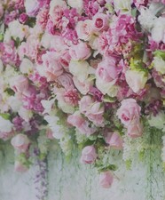 Backdrop background photograph for sale  Ladera Ranch