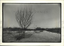 1992 press photo for sale  Memphis