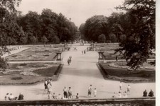 Postkarte berlin tierpark gebraucht kaufen  Berlin