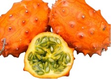 Graines kiwano semences d'occasion  Cahors